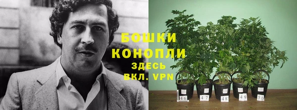 тгк Верея