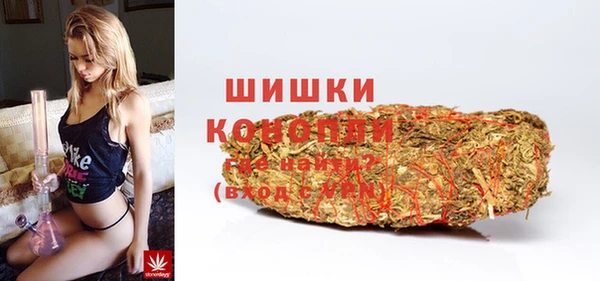 тгк Верея