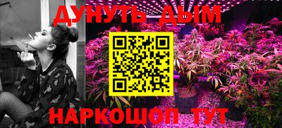 Альфа ПВП Можга