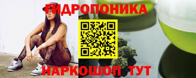 Альфа ПВП Можга