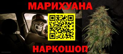 прущие грибы Можайск