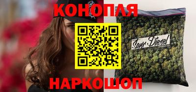 Альфа ПВП Можга