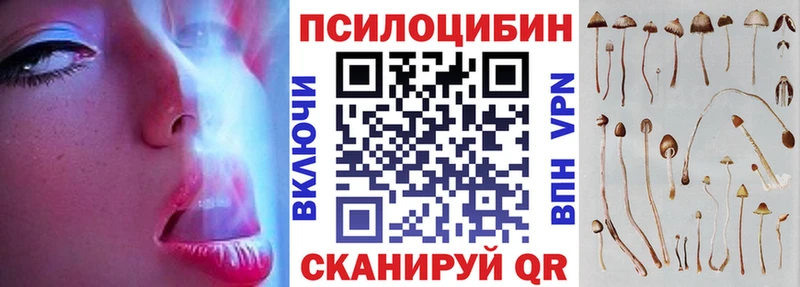 где купить наркоту  Славянск-на-Кубани  Псилоцибиновые грибы Cubensis 