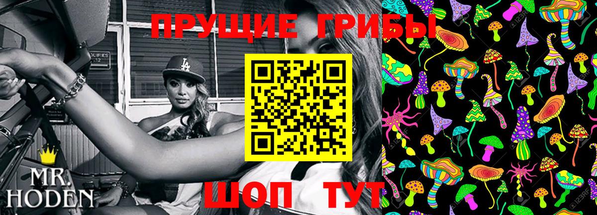 Псилоцибиновые грибы GOLDEN TEACHER Славянск-на-Кубани