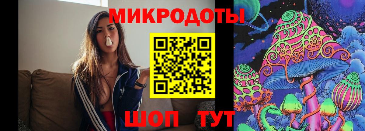 Галлюциногенные грибы Psilocybine cubensis Славянск-на-Кубани