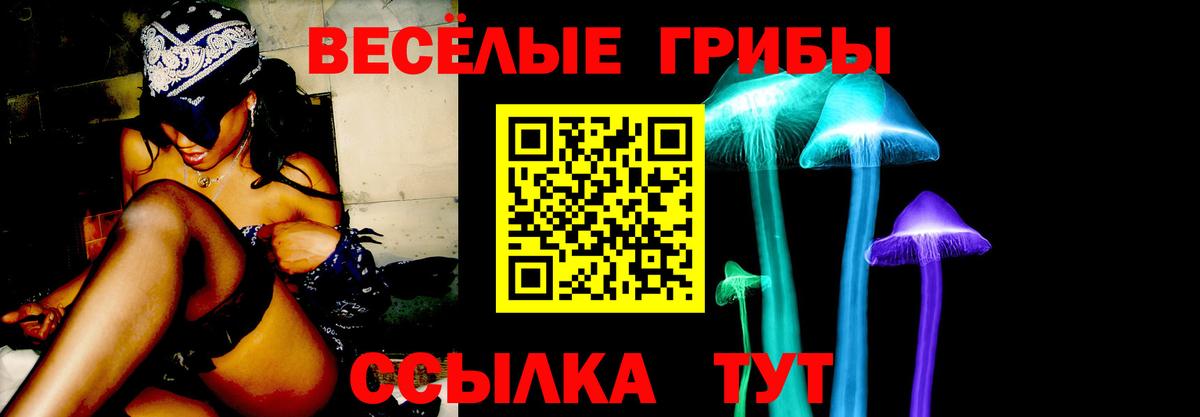 Псилоцибиновые грибы ЛСД  Вход с VPN  Псилоцибиновые грибы MAGIC MUSHROOMS  Славянск-на-Кубани 