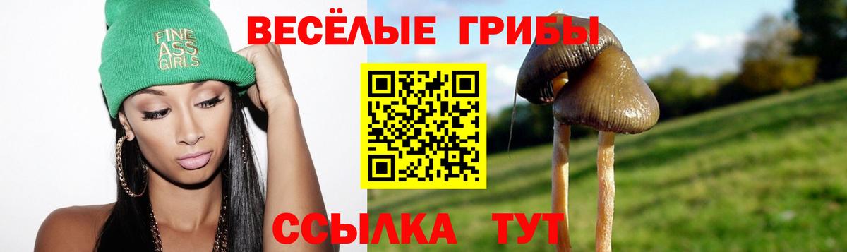 где можно купить   Вход с VPN  Славянск-на-Кубани  Псилоцибиновые грибы Psilocybe 
